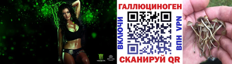 MEGA сайт  Калач  Псилоцибиновые грибы MAGIC MUSHROOMS 
